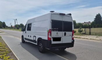 Laika Boxer*2021 full