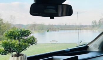 Sun Living*2025 full