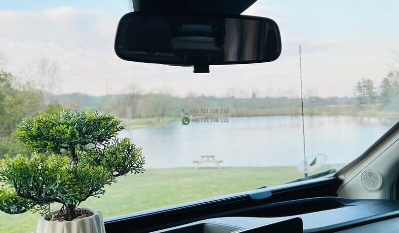 Sun Living*2025 full