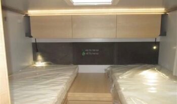 Giottiline Sienna*2025 full