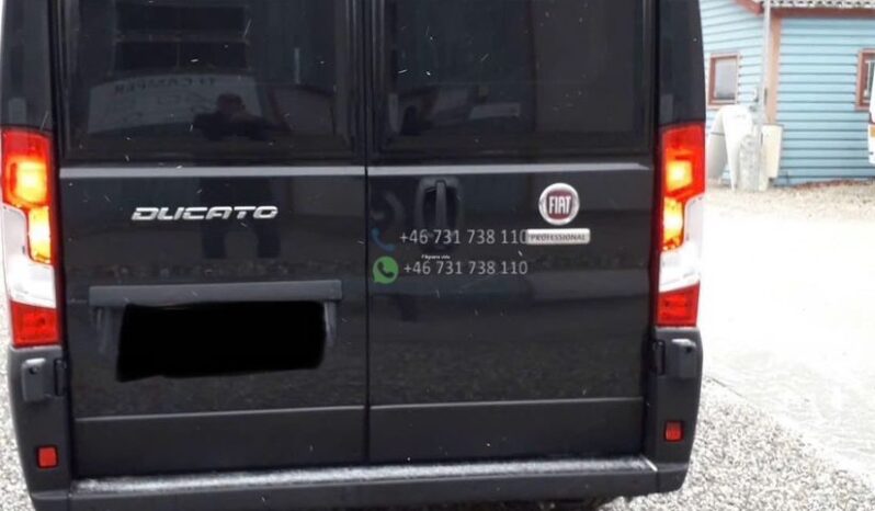 Malibu Van*2024 full