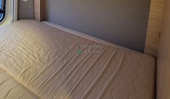 Laika Boxer*2021 full