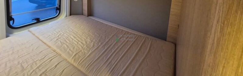 Laika Boxer*2021 full