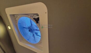 Laika Boxer*2021 full