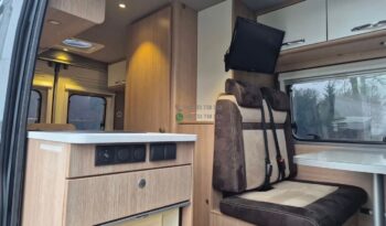 Laika Boxer*2021 full