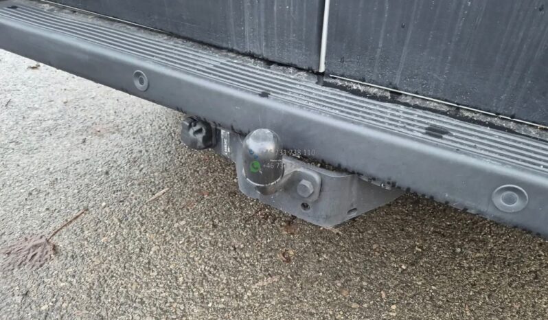 Laika Boxer*2021 full