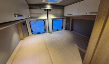 Laika Boxer*2021 full