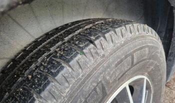 Laika Boxer*2021 full