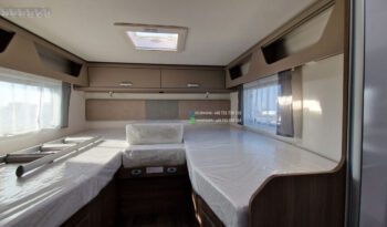 CARADO INTEGRAUX I 447* 2024 full