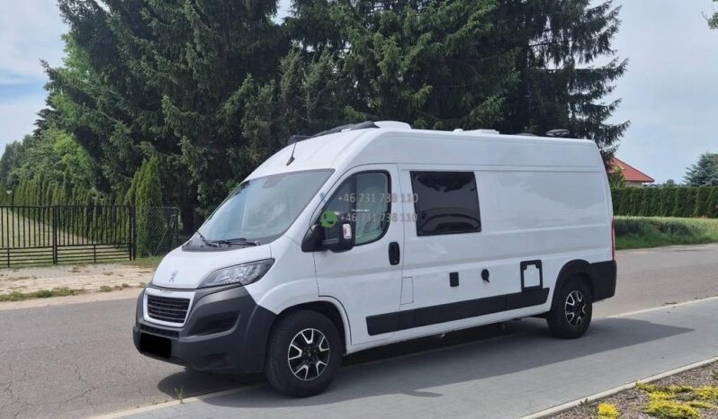 Laika Boxer*2021 full