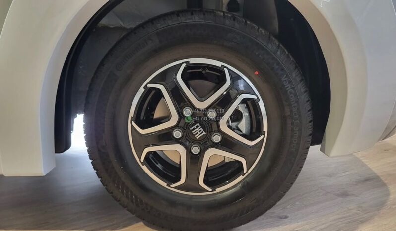 McLOUIS Nevis*2025 full