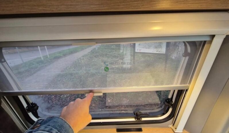 Laika Boxer*2021 full