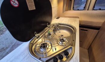 Laika Boxer*2021 full