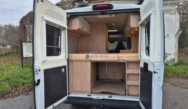 Laika Boxer*2021 full