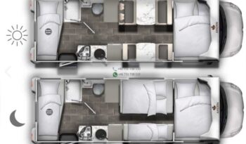 Ahorn Canada AS*2018 full