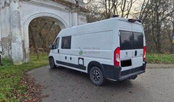 Laika Boxer*2021 full