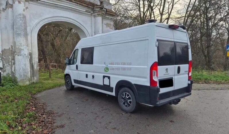 Laika Boxer*2021 full