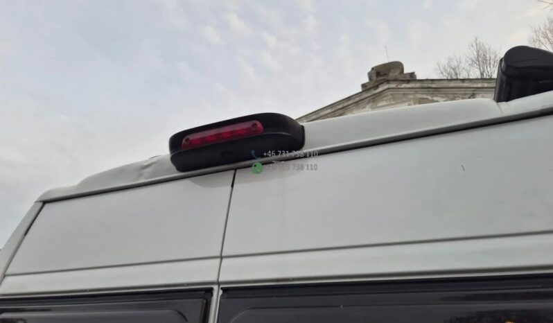 Laika Boxer*2021 full