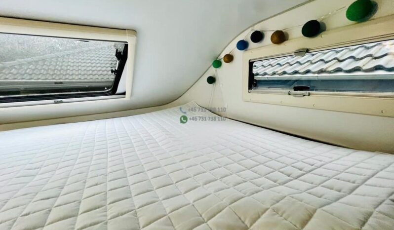 Sun Living*2025 full