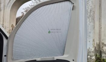 Laika Boxer*2021 full