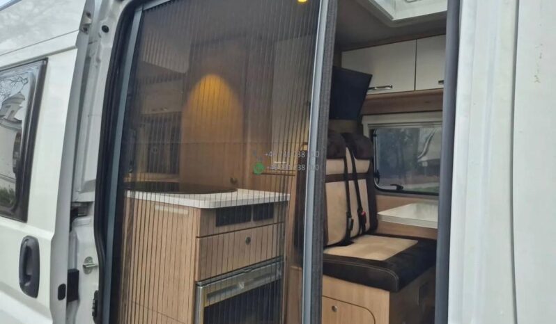 Laika Boxer*2021 full