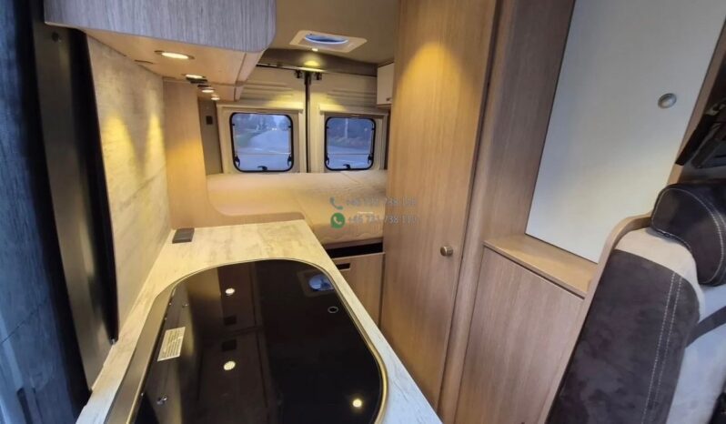 Laika Boxer*2021 full