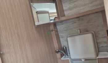 Laika Boxer*2021 full