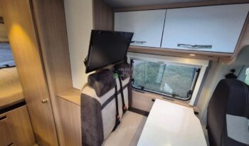 Laika Boxer*2021 full