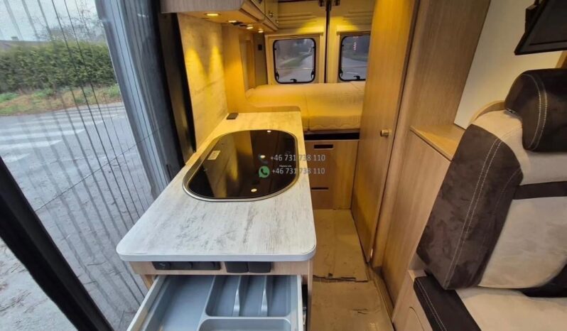 Laika Boxer*2021 full