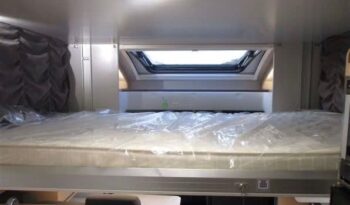 Giottiline Sienna*2025 full