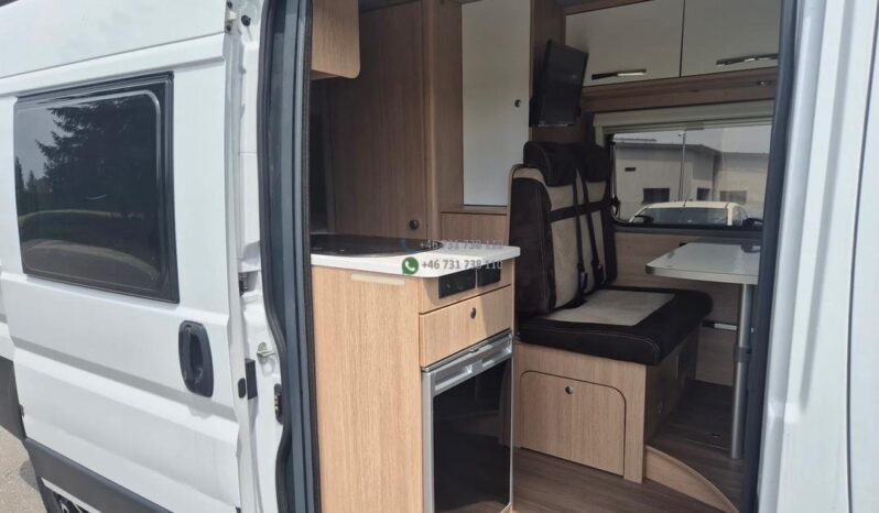 Laika Boxer*2021 full