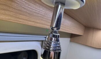 Ahorn Canada AS*2018 full