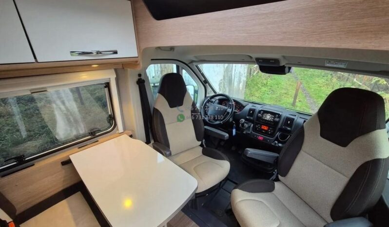 Laika Boxer*2021 full