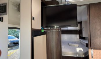 BENIMAR TESSORO T 496 * 2022 full